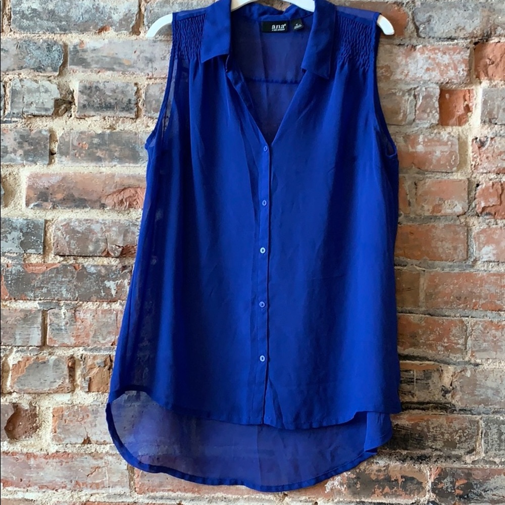 Sheer Sleeveless Blue Blouse